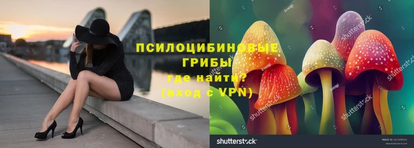 гидропоника Беломорск