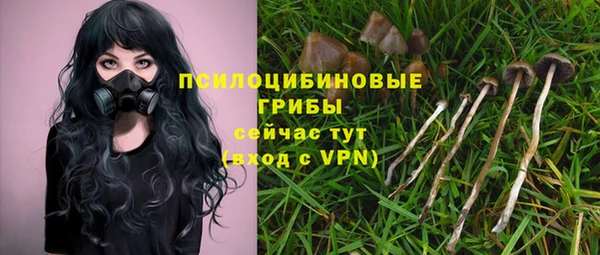 марки nbome Белокуриха