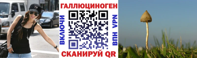 Купить Асино Псилоцибиновые грибы прущие грибы